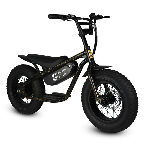 Electric cycles best sale for kids